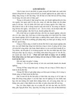 Phân tích tình hình sử dụng vốn và những biện pháp nâng cao hiệu quả sử dụng vốn tại công ty Chiếu sáng và thiết bị đô thị Hà Nội