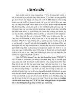 Nghiên cứu tiến trình hoạt động của TTCK Việt Nam trong giai đoạn vừa qua- giải pháp nâng cao hiệu quả hoạt động