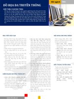 Đồ họa đa truyền thông