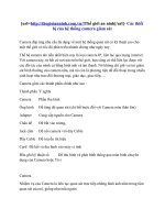 Cac thiet bi cua he thong camera giam sat