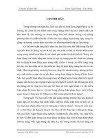 Nâng cao chất lượng phân tích tín dụng tại Sở giao dịch, Ngân hàng nông nghiệp và phát triển nông thôn Việt Nam