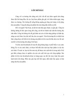 CNSX kombucha (Trà Giấm)