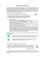 needs-assessment_handout%20VNese