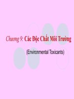 Các chất độc môi trường