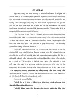 35 Vận dụng các phương pháp thu thập bằng chứng kiểm toán trong kiểm toán báo cáo tài chính do Công ty hợp danh kiểm toán Việt Nam thực hiện