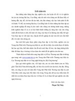 Phát triển thương mại điện tử