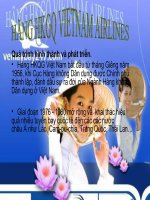 Hãng hàng không quốc gia Việt Nam Airlines