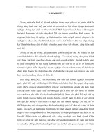 Kế toán bán hàng và xác định kết quả kinh doanh