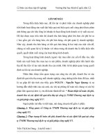 3 Hoàn thiện kế toán chi phí, doanh thu và xác định kết quả tiêu thụ tại Công ty TNHH Thương mại dịch vụ và giải pháp công nghệ F5