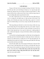 359 Hoàn thiện thủ tục phân tích trong kiểm toán báo cáo tài chính do Công ty Hợp danh Kiểm toán Việt Nam thực hiện