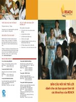 Bản câu hỏi và trả lời dành cho các bạn quan tâm tới các khóa học của Reach