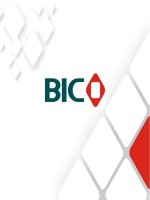 giới thiệu công ty BIC