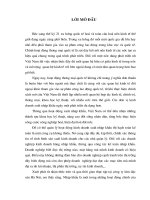 3 Thực trạng Kế toán bàng hàng tại Công ty lâm đặc sản Hà Nội