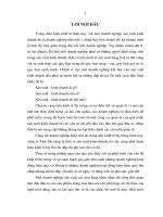 Hoàn thiện kế toán bán hàng và xác định kết quả tiêu thụ tại công ty Tiên Du