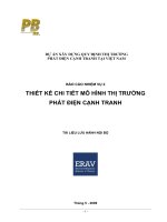 74454621-Bao-cao-Thiet-ke-chi-tiet-thi-truong-CGM-05Jun2009-Tieng-Viet