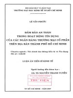95 Đảm bảo an toàn trong hoạt động tín dụng của các Ngân hàng thương mại cổ phần trên địa bàn TP.HCM
