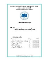 Tiểu luận về hợp đồng lao động