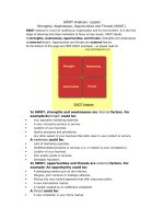 SWOT Analysis-lesson