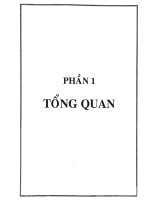Mở đầu về tìm hiểu thành phần hóa học của cây đinh lăng