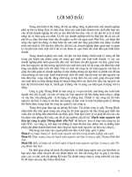 102 Hạch toán nguyên vật liệu tại Công ty giầy Thượng đình - Hà Nội