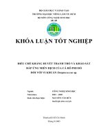 ĐIỀU CHẾ KHÁNG HUYẾT THANH THỎ VÀ KHẢO SÁT ĐÁP ỨNG MIỄN DỊCH CỦA CÁ RÔ PHI ĐỎ  ĐỐI VỚI VI KHUẨN Streptococcus sp. (Bìa)