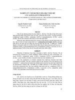 Nghiên cứu thành phần hóa học thân rễ cây Alpinia ở tỉnh Kontum