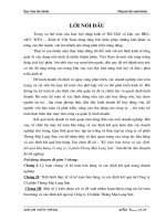 11 Kế toán bán hàng và xác định kết quả bán hàng ở Công ty cổ phần Thương Mại Lạng Sơn