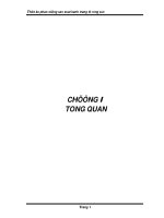 Tổng quan về thiết kế phan xưởng bánh tráng