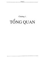 Tổng quan nghiên cứu khả năng bảo vệ chống ăn mòn thép các bon của một số Clay