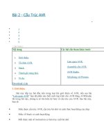 bai2.cau truc avr