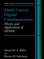Multi-Carrier Digital Communications - Theory and Applications of OFDM