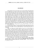 Hiệu quả kinh doanh thương mại tại Công ty cổ phần thương mại Tân Hiệp Thành