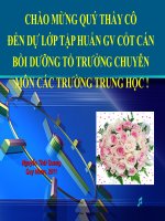 Bồi dưỡng tổ chuyên môn các trường trung học