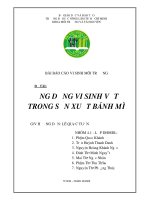 Ứng dung vi sinh vật trong sản xuất bánh mì