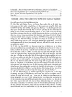 Module 3: Phát Triển Chương Trình Đào Tạo Bậc Đại Học