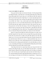 Phân tích rủi ro tín dụng cho vay cá nhân tại Ngân hàng TMCP Sài Gòn Thương Tín - chi nhánh Cần Thơ