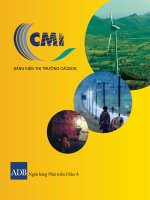 Tổng quan sáng kiến về thị trường Cácbon