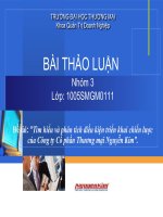 Tìm hiểu và phân tích điều kiện triển khai chiến lược của Công ty Cổ phần Thương Mại Nguyễn Kim