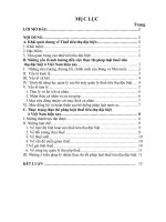 Thực thi pháp luật thuế tiêu  thụ đặc biệt ở Việt Nam hiện nay