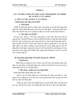 Các vấn đề cơ bản về chất lượng thẩm định tài chính dự án đầu tư của NHTM