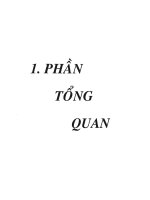 Phần tổng quan tìm hiẻu thành phần hóa học của lá cây xuân hoa