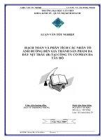 HẠCH TOÁN VÀ PHÂN TÍCH CÁC NHÂN TỐ ẢNH HƯỞNG ĐẾN GIÁ THÀNH SẢN PHẨM DA  DÂY NỊT TRÂU (B) TẠI CÔNG TY CỔ PHẦN DA  TÂY ĐÔ