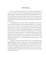 Lời mở đầu xác định tổng ARSEN vô cơ bằng tổng ARSEN hữu cơ trong thủy hải sản