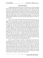 11 Đặc điểm Công ty kiểm toán Việt Nam với việc vận dụng thủ tục phân tích trong kiểm toán báo cáo tài chính 