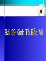 Kinh tế Bắc Mỹ