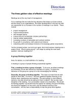 IS_effective meetings