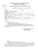 DON DE NGHI DOI GPLX THEO TT 15