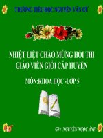 Sử dụng năng lượng điện