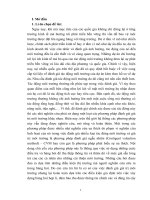 Phương pháp định giá ngẫu nhiên