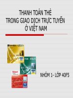 Thanh toán thẻ trong giao dịch trực tuyến ở việt nam